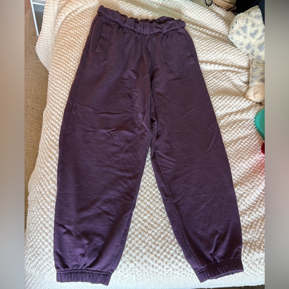 Aerie Purple Sweatpants